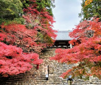 そうだ　京都いこう！に誘われて①神護寺・西明寺・龍安寺