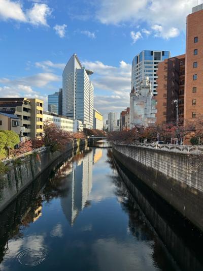 麻布十番ー目黒ー恵比寿さんぽ【埼玉高速鉄道乗り潰し】