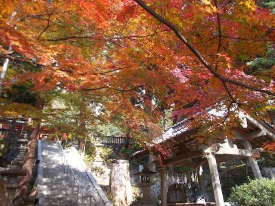 府中八幡神社と三郎の滝の紅葉