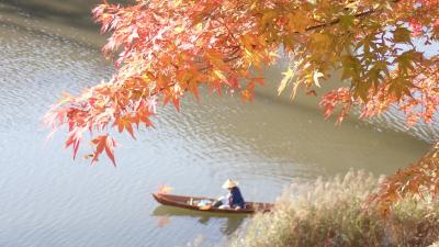 さすらいの船頭と永源寺の紅葉を川から眺めてきました
