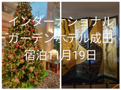 インターナショナルガーデンホテル成田宿泊11月19日