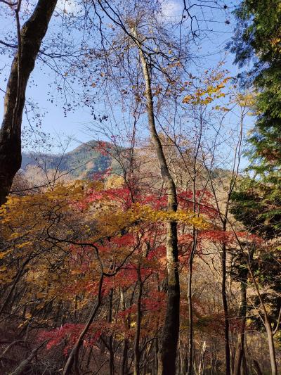 山梨・高畑山から倉岳山へ