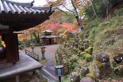 紅葉の愛宕念仏寺