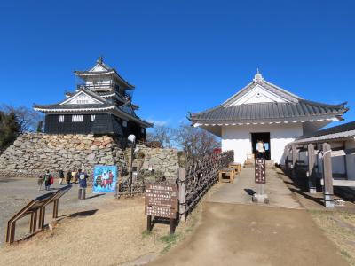 静岡 浜松城公園(Hamamatsu Castel Park,Shizuoka,Japan)