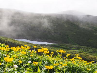 銀泉台からトムラウシ縦走４日間② 登山2日目 どこまでも続くお花畑でした