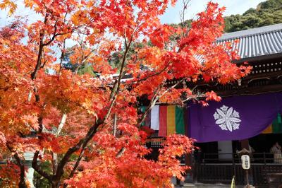 ２０２２年秋　京都永観堂の紅葉