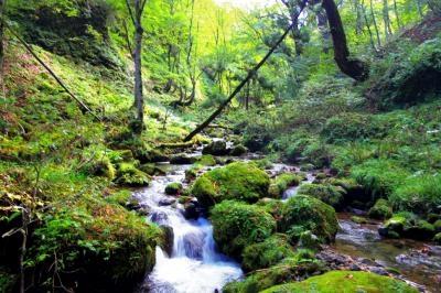 兵庫鳥取県境付近旅後編