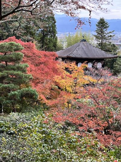 紅葉の京都