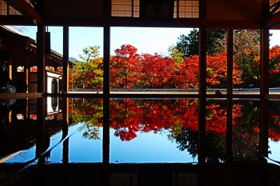 秋の桐生へ(１) 宝徳寺の床もみじ　紅葉の中におじぞうさまがいっぱ～い