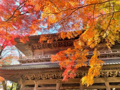 永源寺、金剛輪寺