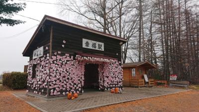 おびひろ空港割で行く帯広　豚丼とばんえい競馬場　１