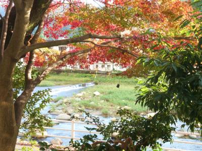 鳥取４・・懐かしい昭和の雰囲気、でもちょっと寂しかった三朝温泉