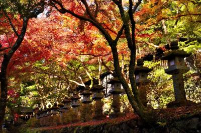 あをによし 多武峰～明日香逍遥①談山神社（尾形橋～燈籠ヶ辻）