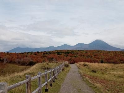 道東２０２２秋旅行記　【１１】知床２（フレペの滝）