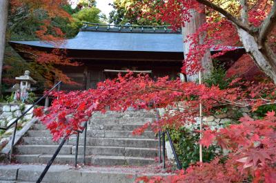 シニアの２０２２年　紅葉の季節ですねっ［１０］　丹波（円通寺・石龕寺・大国寺etc）