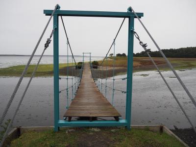 サンゴ草を求めて秋の道東⑤　なかなか大変だった雨の中のサンゴ草群生地巡り