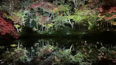 京都紅葉半日散策