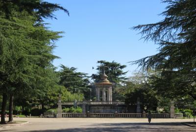 2022秋、鶴舞公園の秋バラ(1/6)：ヒマラヤ杉、噴水塔、バラ園、オクラホマ、パスカリ