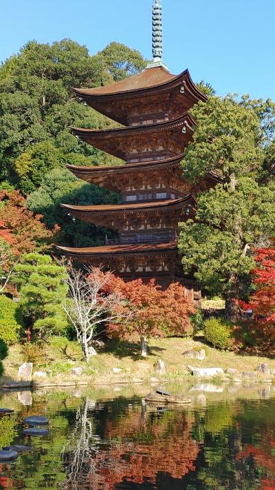 有給40日消化の日本一周(西日本編1/4)