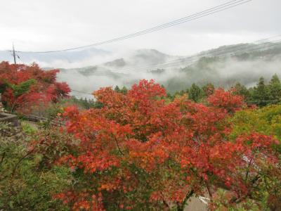 吉野山の紅葉　金峰山寺、吉野神宮、青いシンフォニーに乗車