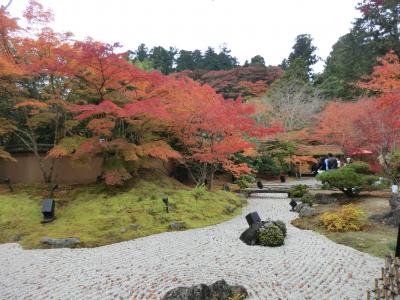 ラグジュアリーバスで行く休暇村を巡るたび