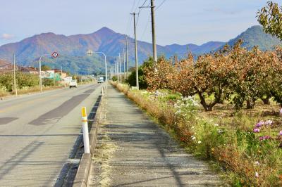 晩秋の月山道を行く～　併せて小田和正2022ツアー〈こんど♪君と〉・ 安達太良山トレッキング