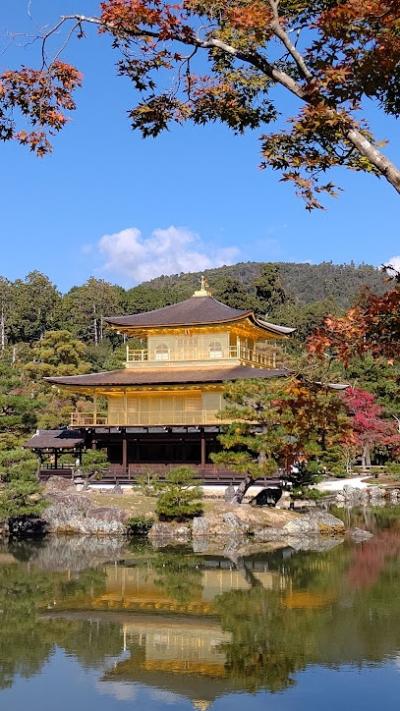 忙しい日常から抜け出して見頃の紅葉を愛でる京都旅