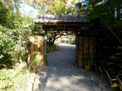 向島百花園： 菊の品評会展示はあったが11月で花は少なかった．多数の文人達の石碑があった．