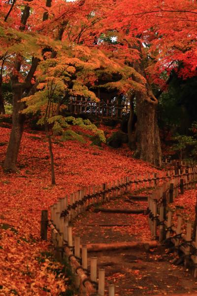 石川　紅葉めぐり～兼六園、八幡神社、那谷寺