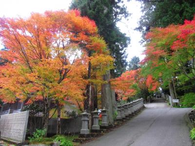 四国八十八ヶ所巡り・その6（紅葉の雲辺寺をゆく）