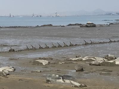 台湾　放浪一人旅　その⑤ 金門島-2