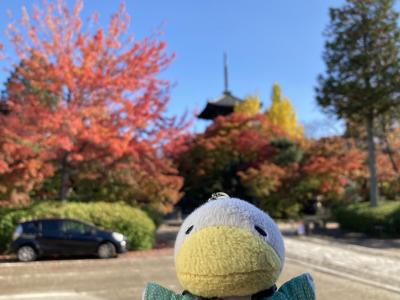 京都に紅葉をみにいきました。2022.11月　　その1