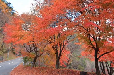 もみじ湖(長野県箕輪町)へ・・・