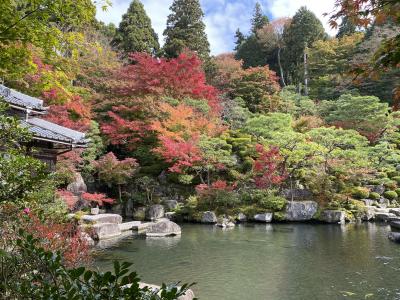 全国旅行支援は滋賀県を選んだ結果、湖東三山へ導かれました