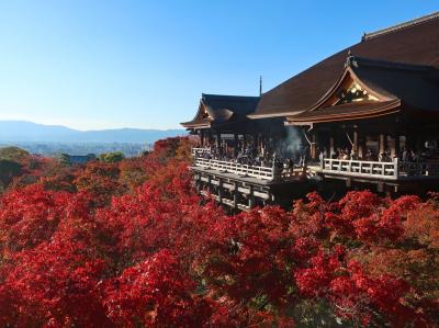 京都紅葉の旅（１）レンタサイクルで紅葉名所を駆けずり回る一日