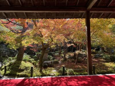 京都の紅葉・庭園巡り