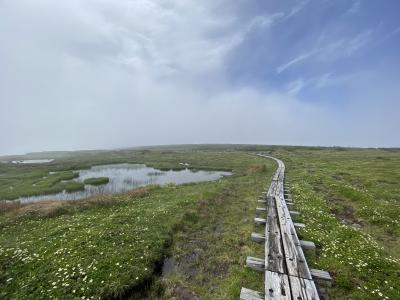 銀泉台からトムラウシ縦走４日間③ 登山３日目 ついにトムラウシ山へ到達