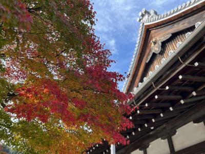 紅葉の京都　1日目