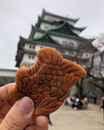 名古屋めし  お着物で(*´˘`*)♡