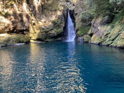 高知で本当の水びたし