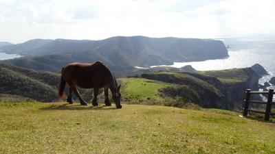 隠岐１度は歩きたかった摩天崖　山陰名湯（玉造、三朝、城崎）の旅１