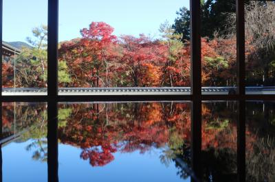 全国旅行支援バスツアー　わたらせ渓谷トロッコと宝徳寺床もみじ