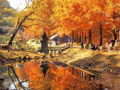 再び♪ムーミン谷の秋景色☆紅葉の「トーベ・ヤンソンあけぼの子どもの森公園」