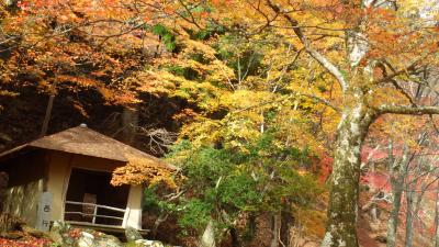 秋の吉野山