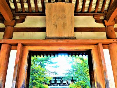 古都 奈良は紅葉の始まりでした(11月上旬);西の京エリア