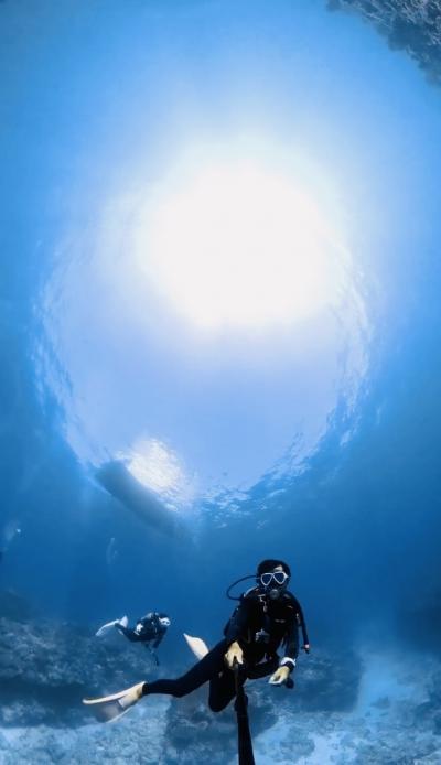 2022.11 今月は久しぶりの慶良間でダイビング!