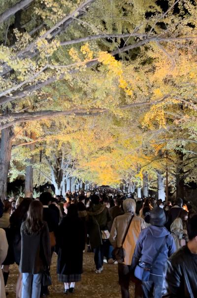 【11/16 国分寺へ出張】昭和記念公園　秋の夜散歩2022