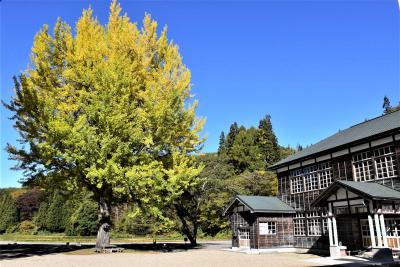 昭和初期の木造校舎「喰丸小」と黄葉の大イチョウ2022～奥会津の紅葉とともに～（福島）