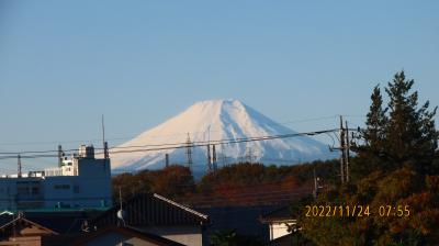 くっきりと見られた富士山