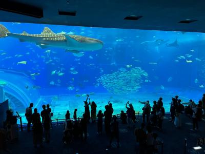 【2歳児連れ秋の沖縄・後編】海洋博公園とブルーシール本店